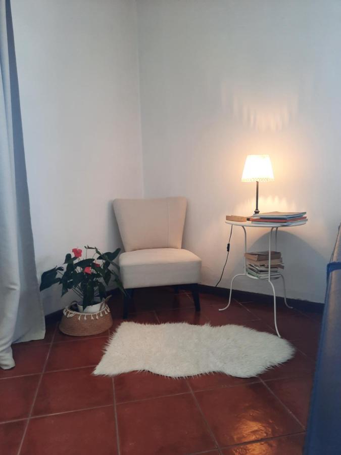 Casa Das Camelias アヴェイロ エクステリア 写真